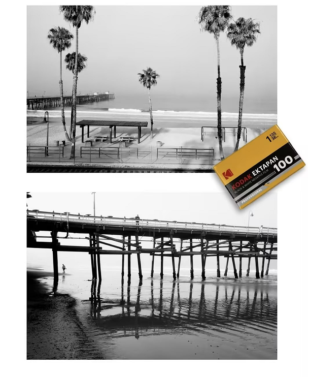 Kodak EktaPan: What Happened to T-MAX?